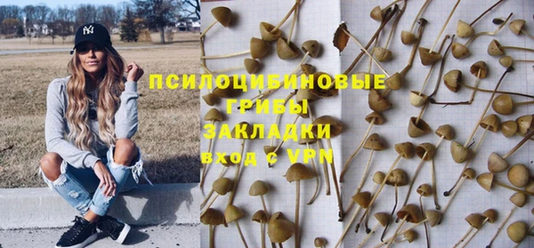 Альфа ПВП Протвино