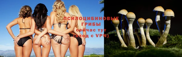 прущие крисы Приозерск