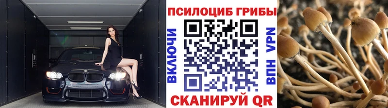 Галлюциногенные грибы Magic Shrooms  Купить закладки  Дальнереченск 